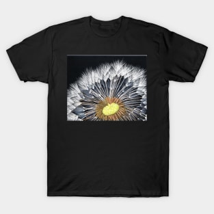 Make A Wish T-Shirt